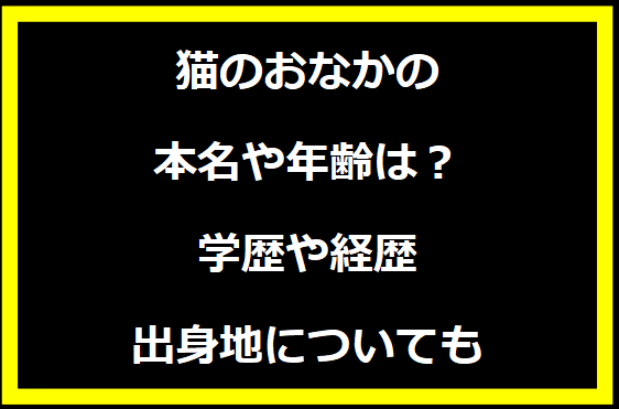 猫のおなかの本名や年齢は？学歴や経歴に出身地についても