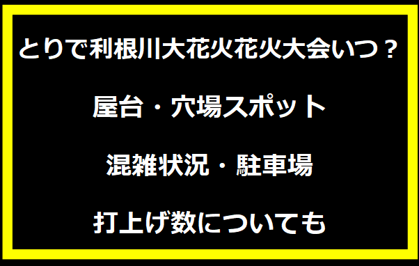 とりで利根川大花火2024いつ？屋台・穴場スポット・混雑状況・駐車場・打上げ数についても