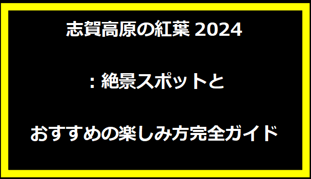 志賀高原の紅葉2024：絶景スポットとおすすめの楽しみ方完全ガイド