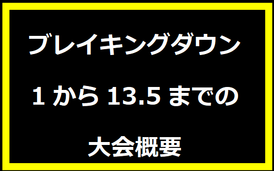 ブレイキングダウン1から13.5までの大会概要