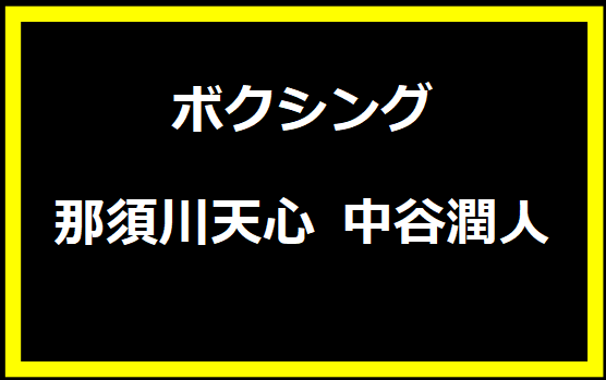 那須川天心と中谷潤人の最新試合