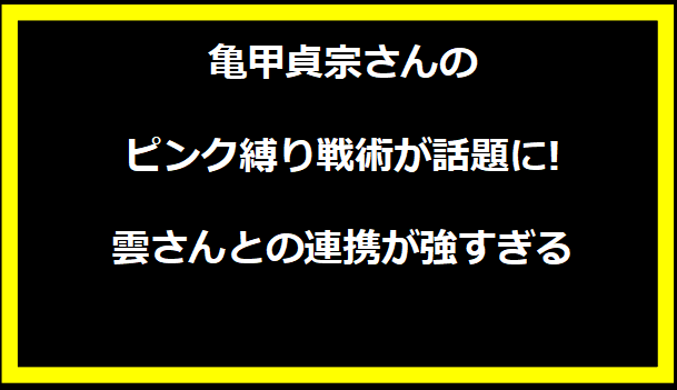 亀甲貞宗さんのピンク縛り戦術が話題に! 雲さんとの連携が強すぎる