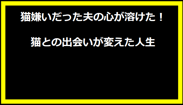 猫嫌いだった夫の心が溶けた！猫との出会いが変えた人生