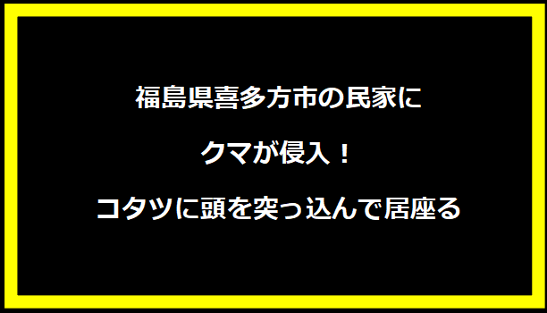 福島県喜多方市の民家にクマが侵入！コタツに頭を突っ込んで居座る