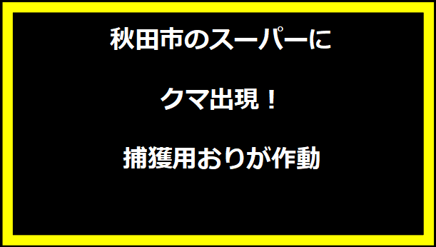 秋田市のスーパーにクマ出現！捕獲用おりが作動