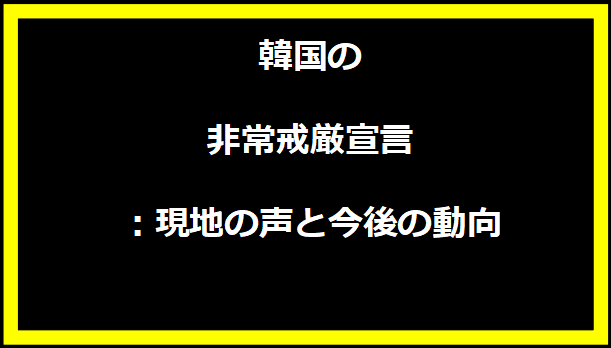 韓国の非常戒厳宣言：現地の声と今後の動向