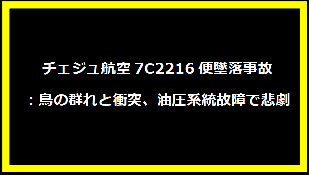 チェジュ航空7C2216便墜落事故：鳥の群れと衝突、油圧系統故障で悲劇