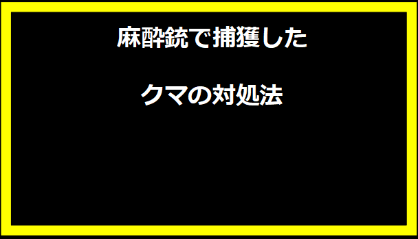 麻酔銃で捕獲したクマの対処法