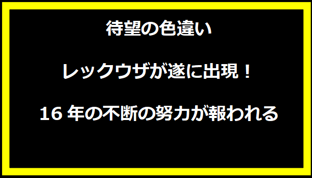 待望の色違いレックウザが遂に出現！16年の不断の努力が報われる