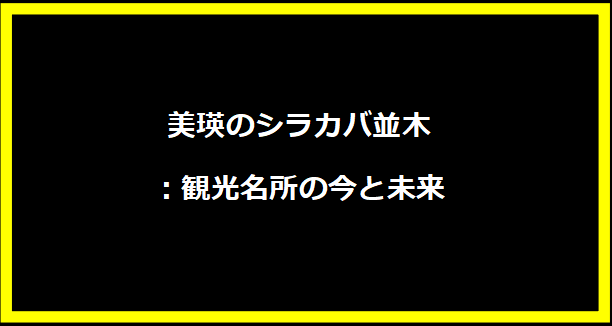 美瑛のシラカバ並木：観光名所の今と未来