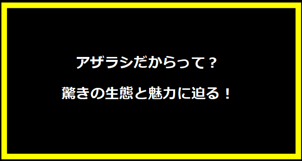 アザラシだからって？驚きの生態と魅力に迫る！