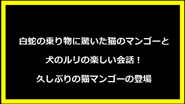 白蛇の乗り物に驚いた猫のマンゴーと犬のルリの楽しい会話！久しぶりの猫マンゴーの登場