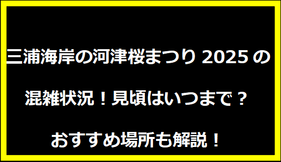 三浦海岸の河津桜まつり2025の混雑状況！見頃はいつまで？おすすめ場所も解説！