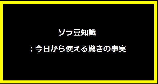 ソラ豆知識：今日から使える驚きの事実