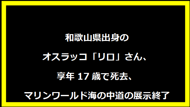 和歌山県出身のオスラッコ「リロ」さん、享年17歳で死去、マリンワールド海の中道の展示終了