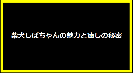 柴犬しばちゃんの魅力と癒しの秘密