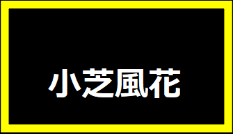 小芝風花