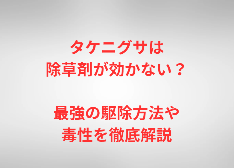 タケニグサは除草剤が効かない？最強の駆除方法や毒性を徹底解説