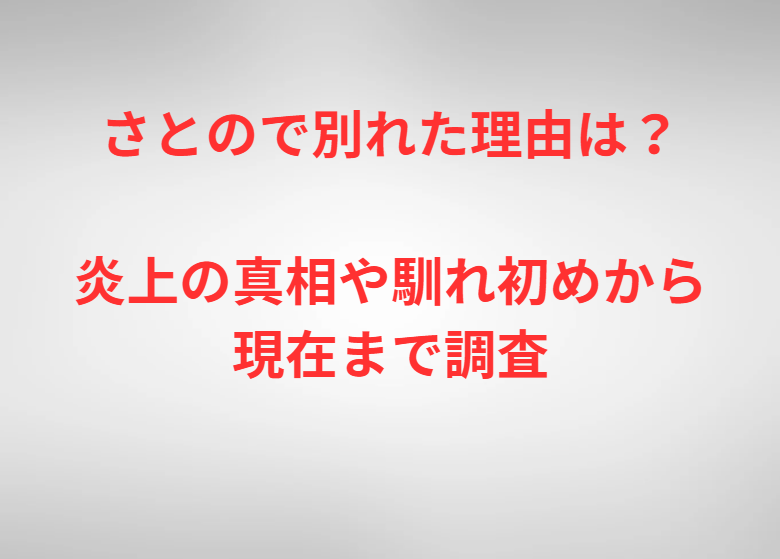 さとので別れた理由は？炎上の真相や馴れ初めから現在まで調査