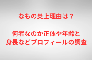 なもの炎上理由は？何者なのか正体や年齢と身長などプロフィールの調査
