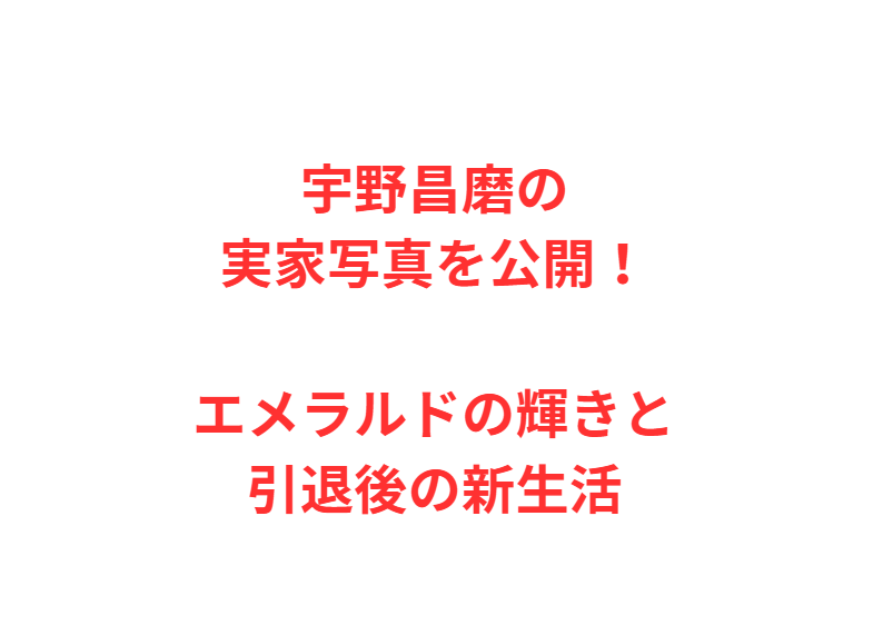 宇野昌磨の実家写真を公開！エメラルドの輝きと引退後の新生活