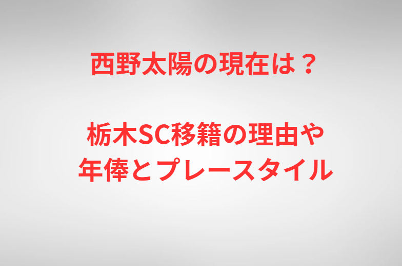 西野太陽の現在は？栃木SC移籍の理由や年俸とプレースタイル