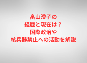 畠山澄子の経歴と現在は？国際政治や核兵器禁止への活動を解説