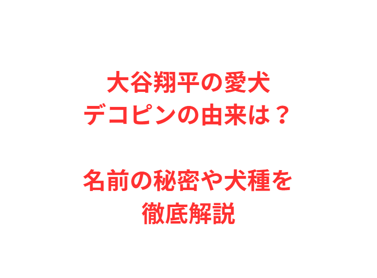 大谷翔平の愛犬デコピンの由来は？名前の秘密や犬種を徹底解説