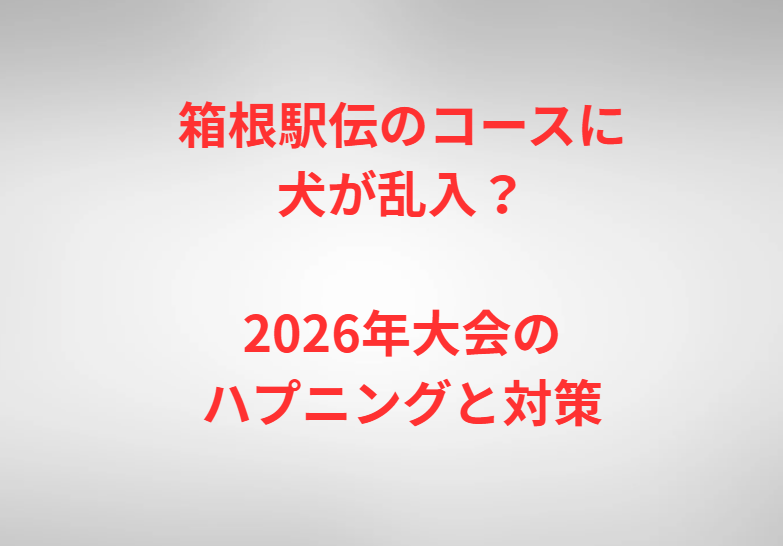 箱根駅伝のコースに犬が乱入？2026年大会のハプニングと対策