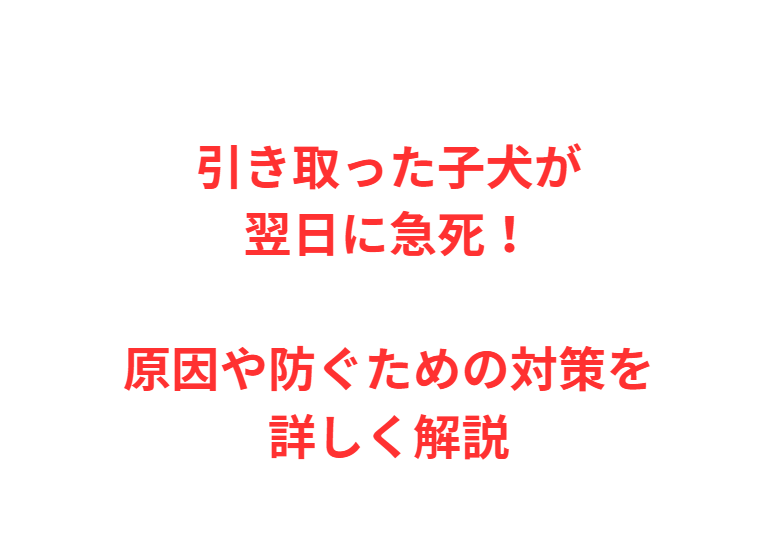 引き取った子犬が翌日に急死！原因や防ぐための対策を詳しく解説
