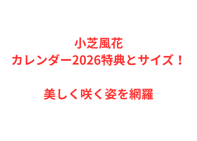 小芝風花カレンダー2026特典とサイズ！美しく咲く姿を網羅
