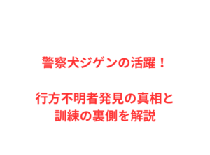 警察犬ジゲンの活躍！行方不明者発見の真相と訓練の裏側を解説