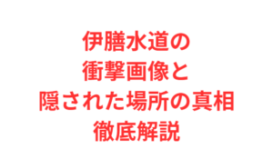 伊膳水道の衝撃画像と隠された場所の真相徹底解説