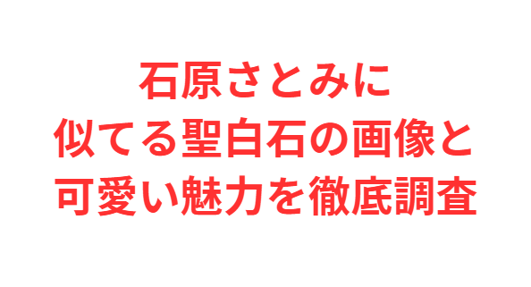 石原さとみに似てる聖白石の画像と可愛い魅力を徹底調査
