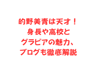 的野美青は天才！身長や高校とグラビアの魅力、ブログも徹底解説