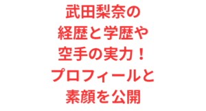 武田梨奈の経歴と学歴や空手の実力！プロフィールと素顔を公開