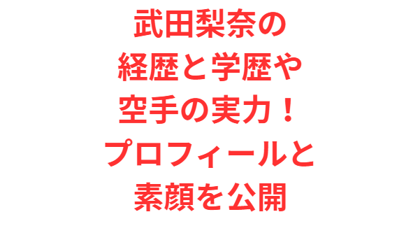 武田梨奈の経歴と学歴や空手の実力！プロフィールと素顔を公開
