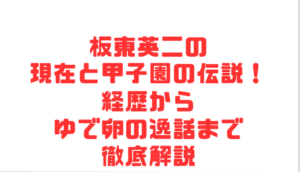 板東英二の現在と甲子園の伝説！経歴からゆで卵の逸話まで徹底解説
