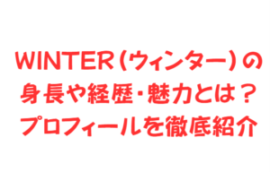 WINTER(ウィンター)の身長や経歴・魅力とは?プロフィールを徹底紹介