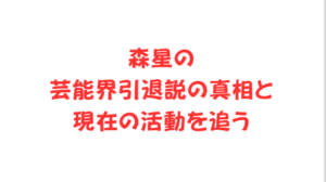 森星の芸能界引退説の真相と現在の活動を追う