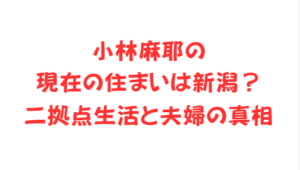 小林麻耶の現在の住まいは新潟?二拠点生活と夫婦の真相