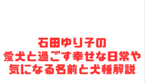 石田ゆり子の愛犬と過ごす幸せな日常や気になる名前と犬種解説