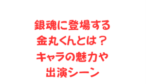 銀魂に登場する金丸くんとは?キャラの魅力や出演シーン