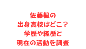 佐藤楓の出身高校はどこ？学歴や経歴と現在の活動を調査