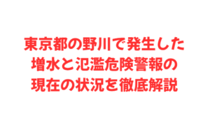 東京都の野川で発生した増水と氾濫危険警報の現在の状況を徹底解説
