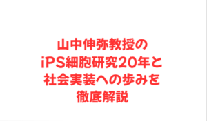 山中伸弥教授のiPS細胞研究20年と社会実装への歩みを徹底解説