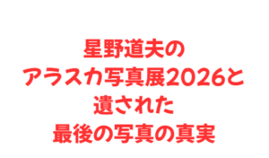 星野道夫のアラスカ写真展2026と遺された最後の写真の真実