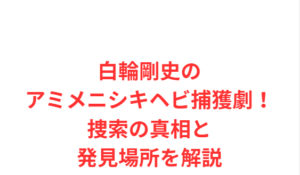 白輪剛史のアミメニシキヘビ捕獲劇！捜索の真相と発見場所を解説