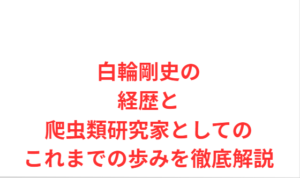 白輪剛史の経歴と爬虫類研究家としてのこれまでの歩みを徹底解説