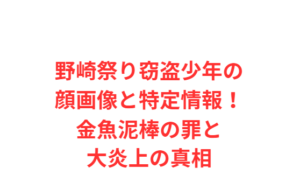野崎祭り窃盗少年の顔画像と特定情報！金魚泥棒の罪と大炎上の真相